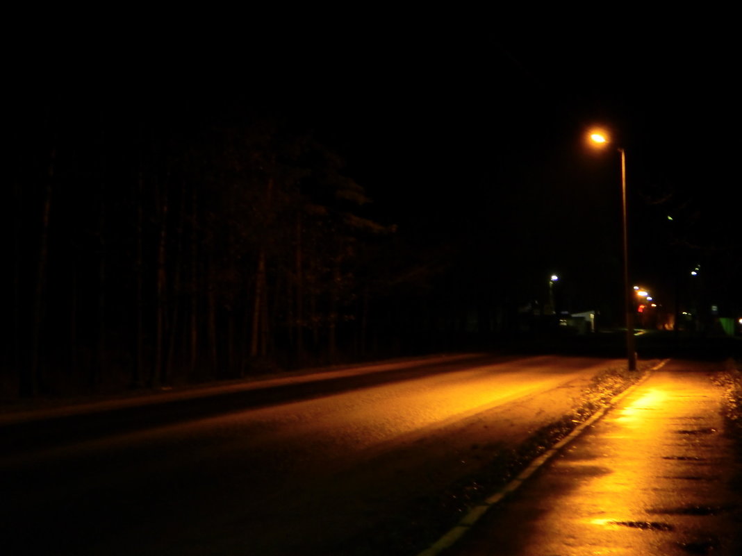 Ночная Дорога Фото Из Машины
